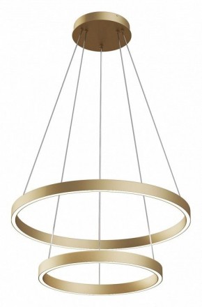 Подвесной светильник Maytoni Rim MOD058PL-L55BS4K в Приобье - priobie.mebel24.online | фото 5