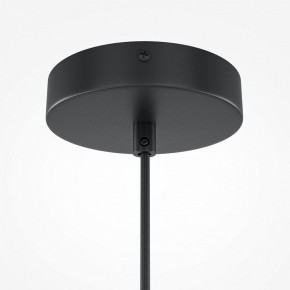 Подвесной светильник Maytoni Roots MOD194PL-01W1 в Приобье - priobie.mebel24.online | фото 5