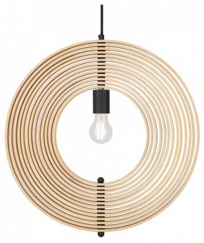 Подвесной светильник Maytoni Roots MOD197PL-01W1 в Приобье - priobie.mebel24.online | фото 2