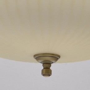 Подвесной светильник MW-Light Афродита 1 317010504 в Приобье - priobie.mebel24.online | фото 9