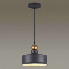 Подвесной светильник Odeon Light Bolli 4088/1 в Приобье - priobie.mebel24.online | фото 4