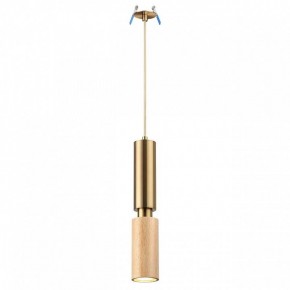 Подвесной светильник Odeon Light Caucho 7061/1A в Приобье - priobie.mebel24.online | фото 3