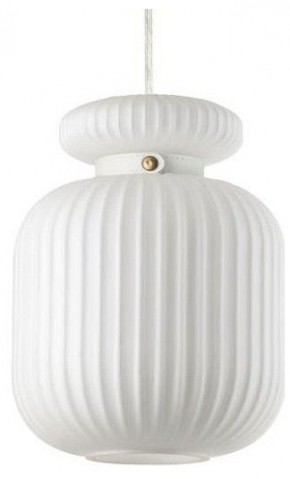 Подвесной светильник Odeon Light Jugi 5042/1C в Приобье - priobie.mebel24.online | фото