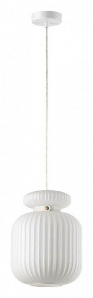 Подвесной светильник Odeon Light Jugi 5042/1C в Приобье - priobie.mebel24.online | фото 3
