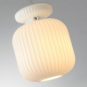Подвесной светильник Odeon Light Jugi 5042/1C в Приобье - priobie.mebel24.online | фото 6