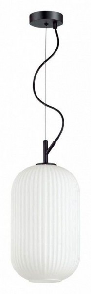 Подвесной светильник Odeon Light Roofi 4751/1 в Приобье - priobie.mebel24.online | фото 2