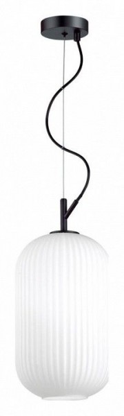 Подвесной светильник Odeon Light Roofi 4751/1 в Приобье - priobie.mebel24.online | фото 3