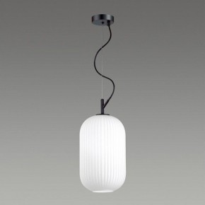 Подвесной светильник Odeon Light Roofi 4751/1 в Приобье - priobie.mebel24.online | фото 4