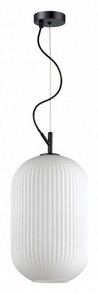 Подвесной светильник Odeon Light Roofi 4752/1 в Приобье - priobie.mebel24.online | фото 2