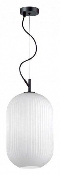 Подвесной светильник Odeon Light Roofi 4752/1 в Приобье - priobie.mebel24.online | фото 3