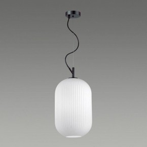 Подвесной светильник Odeon Light Roofi 4752/1 в Приобье - priobie.mebel24.online | фото 4