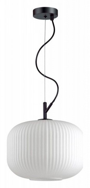 Подвесной светильник Odeon Light Roofi 4754/1 в Приобье - priobie.mebel24.online | фото 2