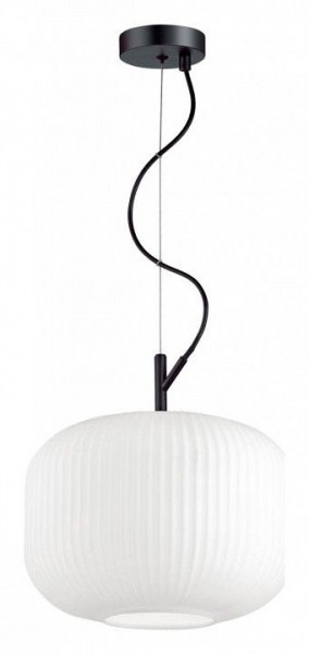 Подвесной светильник Odeon Light Roofi 4754/1 в Приобье - priobie.mebel24.online | фото 3