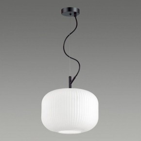 Подвесной светильник Odeon Light Roofi 4754/1 в Приобье - priobie.mebel24.online | фото 4