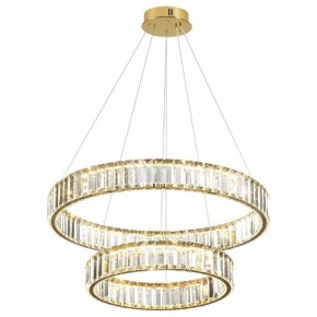 Подвесной светильник Odeon Light Vekia 5015/60L в Приобье - priobie.mebel24.online | фото 2