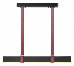 Подвесной светильник Odeon Light Vincent 6629/25L в Приобье - priobie.mebel24.online | фото 2