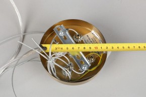 Подвесной светильник Omnilux Cesana OML-67103-08 в Приобье - priobie.mebel24.online | фото 9