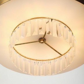 Подвесной светильник Rivoli Vickie Б0061902 в Приобье - priobie.mebel24.online | фото 11