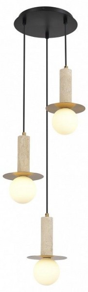 Подвесной светильник ST-Luce Earthy SL1194.303.03 в Приобье - priobie.mebel24.online | фото 3