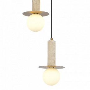 Подвесной светильник ST-Luce Earthy SL1194.303.03 в Приобье - priobie.mebel24.online | фото 4