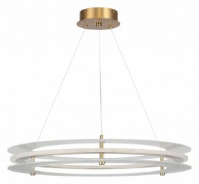 Подвесной светильник ST-Luce FAGY SL6245.203.01 в Приобье - priobie.mebel24.online | фото 3