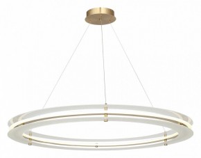 Подвесной светильник ST-Luce FAGY SL6245.213.01 в Приобье - priobie.mebel24.online | фото 4