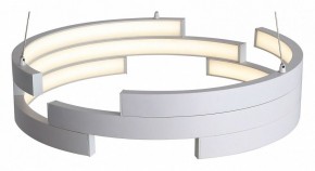 Подвесной светильник ST-Luce Genuine SL963.503.01 в Приобье - priobie.mebel24.online | фото