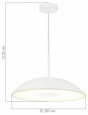 Подвесной светильник ST-Luce Lido SL6128.503.01 в Приобье - priobie.mebel24.online | фото 4