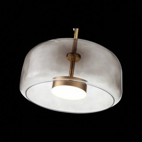 Подвесной светильник ST-Luce Palochino SL1053.243.01 в Приобье - priobie.mebel24.online | фото