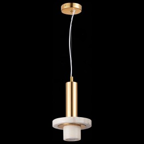 Подвесной светильник ST-Luce Pietra SL1210.503.01 в Приобье - priobie.mebel24.online | фото 5
