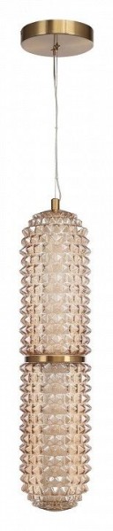 Подвесной светильник ST-Luce SAGUARO SL6144.303.01 в Приобье - priobie.mebel24.online | фото 3