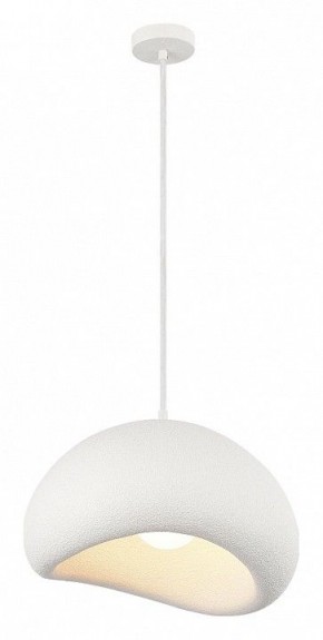 Подвесной светильник ST-Luce WABI SABI SL1522.503.01 в Приобье - priobie.mebel24.online | фото