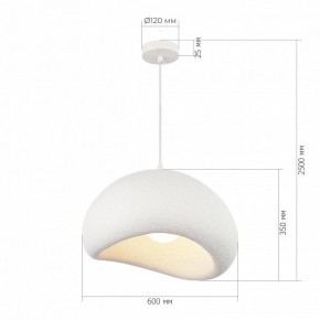 Подвесной светильник ST-Luce WABI SABI SL1522.513.01 в Приобье - priobie.mebel24.online | фото 5