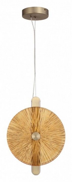 Подвесной светильник ST-Luce WASI SL6141.313.01 в Приобье - priobie.mebel24.online | фото 3