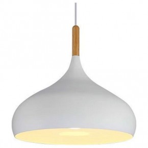 Подвесной светильник TopDecor Molto Molto S2 10 в Приобье - priobie.mebel24.online | фото