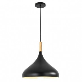 Подвесной светильник TopDecor Molto Molto S2 12 в Приобье - priobie.mebel24.online | фото