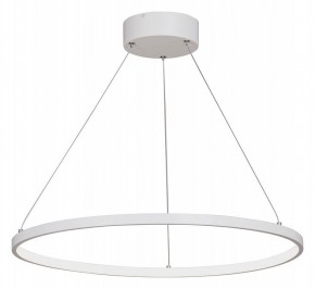 Подвесной светильник Vitaluce V4601 V4601-0/1S в Приобье - priobie.mebel24.online | фото 2