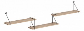 Полка навесная Coffee SH4-ROD/BAR в Приобье - priobie.mebel24.online | фото