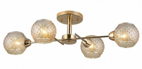 Потолочная люстра Rivoli Amalia Б0050815 в Приобье - priobie.mebel24.online | фото 3