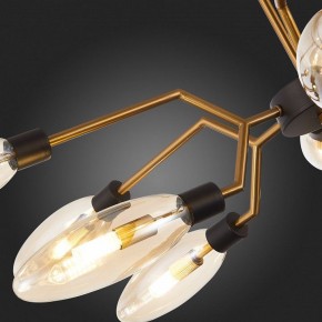 Потолочная люстра ST-Luce Desima SL1174.303.12 в Приобье - priobie.mebel24.online | фото 10