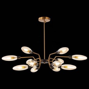 Потолочная люстра ST-Luce Desima SL1174.303.12 в Приобье - priobie.mebel24.online | фото 2
