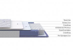 PROxSON Матрас Active Duo S/F (Ткань Трикотаж Эко) 120x195 в Приобье - priobie.mebel24.online | фото 2