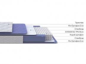 PROxSON Матрас Active F (Ткань Трикотаж Эко) 90x195 в Приобье - priobie.mebel24.online | фото 2