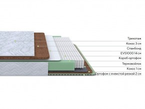 PROxSON Матрас Green Duo M/F (Tricotage Dream) 120x200 в Приобье - priobie.mebel24.online | фото 3