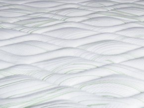 PROxSON Матрас Green F (Tricotage Dream) 80x200 в Приобье - priobie.mebel24.online | фото 8
