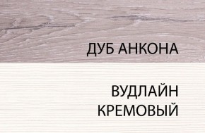 Шкаф 1DW, OLIVIA, цвет вудлайн крем/дуб анкона в Приобье - priobie.mebel24.online | фото 3