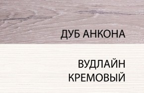 Шкаф 1DZ, OLIVIA, цвет вудлайн крем/дуб анкона в Приобье - priobie.mebel24.online | фото 3