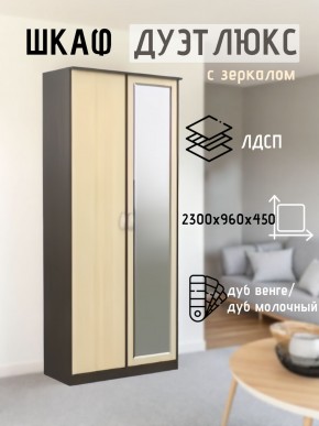 Шкаф 2-х створчатый Дуэт Люкс с зеркалом в Приобье - priobie.mebel24.online | фото 1