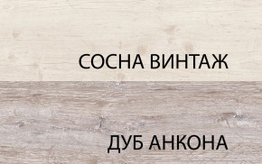 Шкаф 2D1S, MONAKO, цвет Сосна винтаж/дуб анкона в Приобье - priobie.mebel24.online | фото