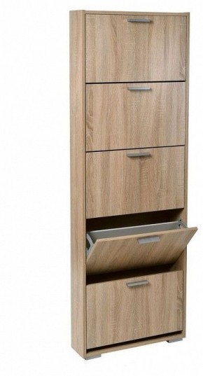 Шкаф для обуви УК-5 в Приобье - priobie.mebel24.online | фото